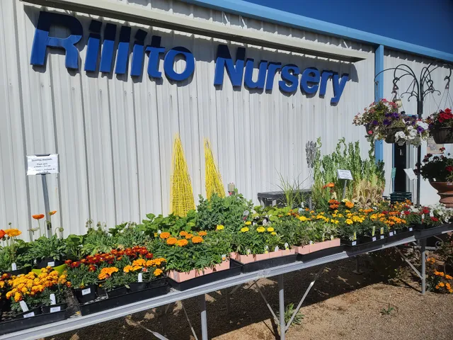 Rillito Nursery & Garden Center