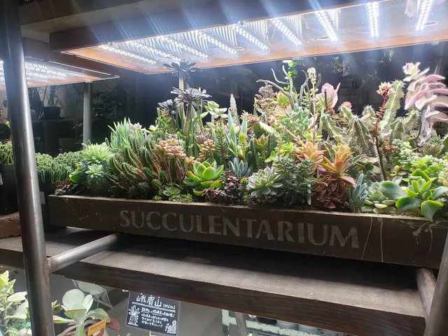 WORLD OUTLET THE OUTLET KITAKYUSHU store