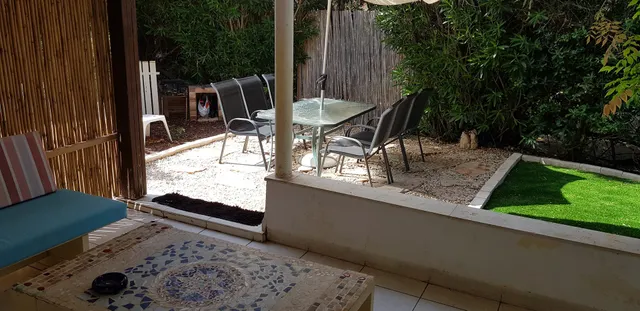 Palm on the beach Nahariya