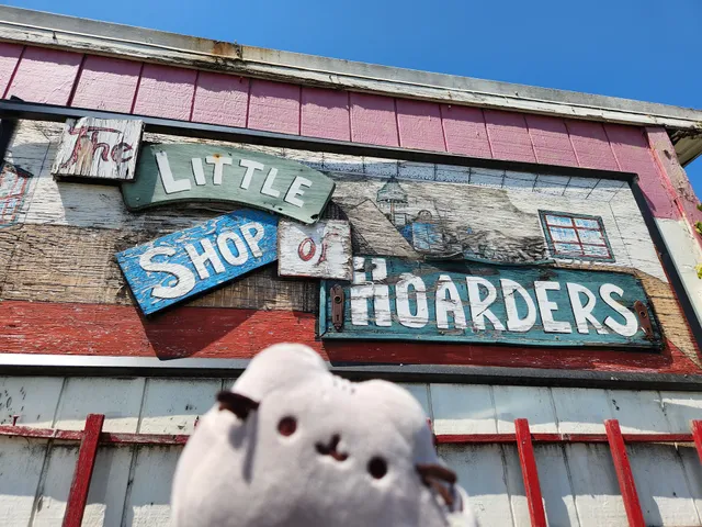 Little Shop of Hoarders