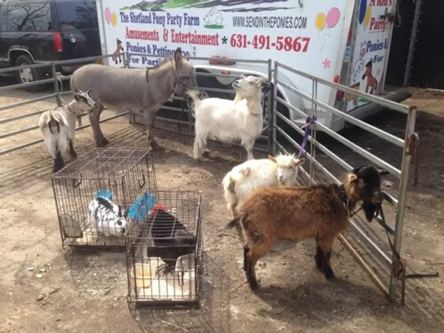 Pony Party Amusement & Entertainment