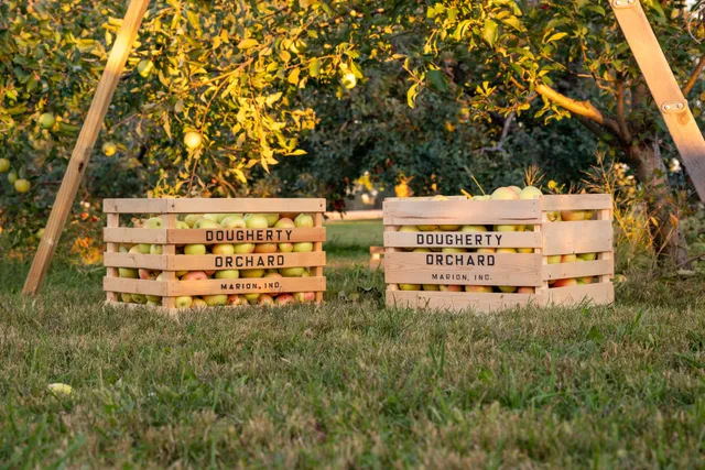 Dougherty Apple Orchard - Marion, IN