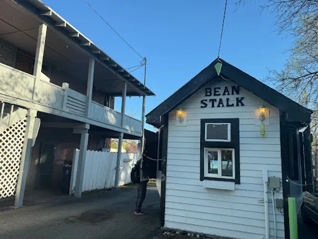 The Bean Stalk Espresso