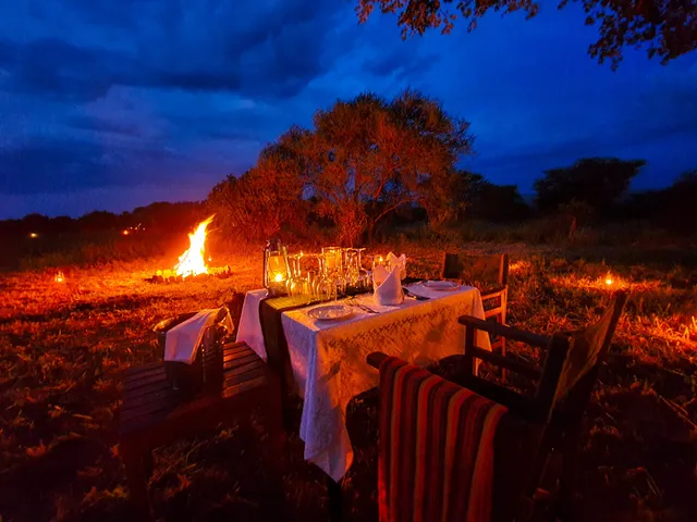 Tarangire Kuro Treetops Lodge