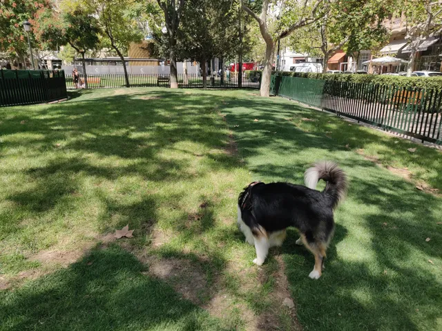 Área Canina Plaza de los Sitios