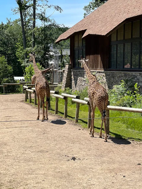 Turtle Back Zoo Carousel