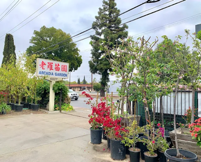Arcadia Garden