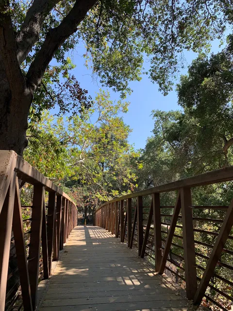 Odette Morrow Trail
