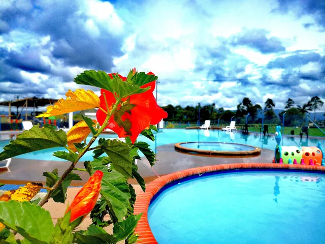 ALOJAMIENTO Y HOSPEDAJE EN MONTENEGRO QUINDIO | GUADUALES DEL CAFE B-409