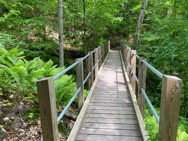 Munising Mountain Bike Park