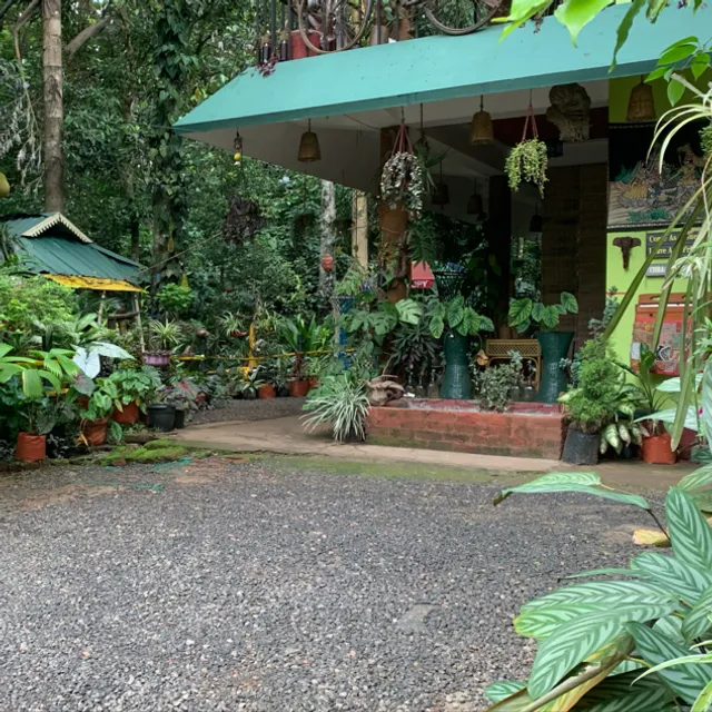 Jungle View homestay