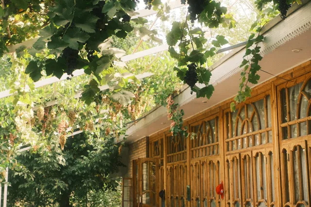 Spring Family Guest House