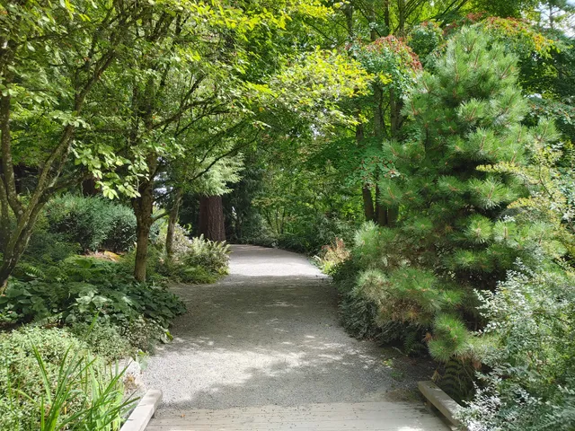 Wilburton Park trail, Bellevue Botanical Gardens trailhead