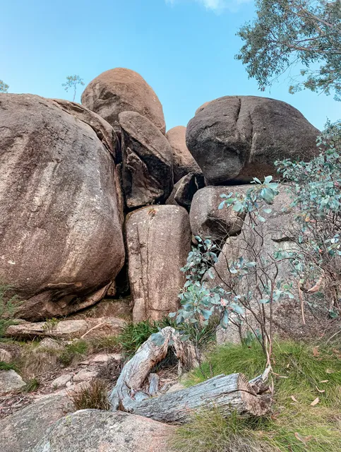 Chalwell Galleries Track