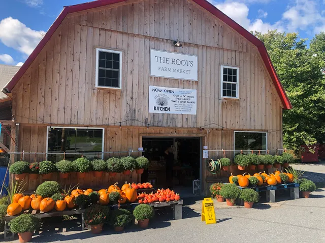 The Roots Farm Market