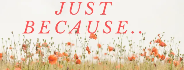 Just Because Flowers & Gifts