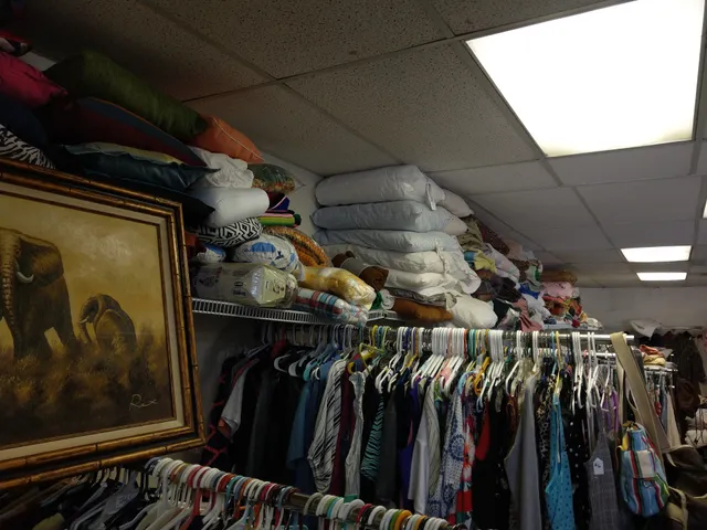 The E Thrift Store