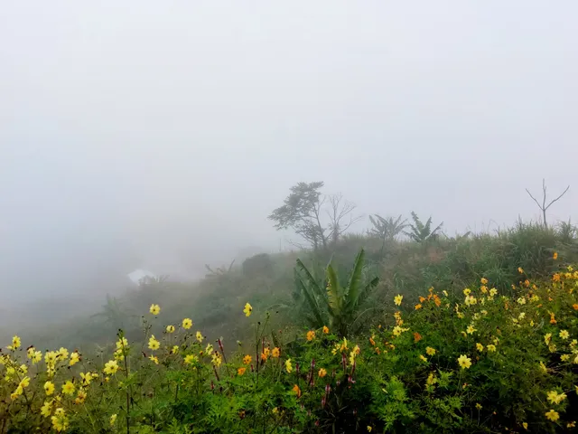 Sea of Clouds - Dupax del Norte, Nueva Vizcaya