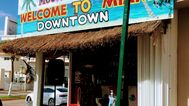 WELCOME TO MIAMI DOWNTOWN