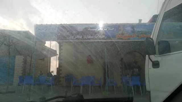 أسماك غنيوة