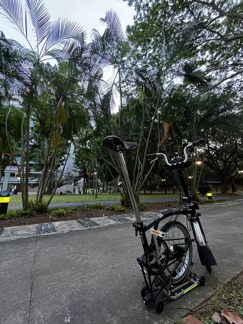 Tampines Tree Garden