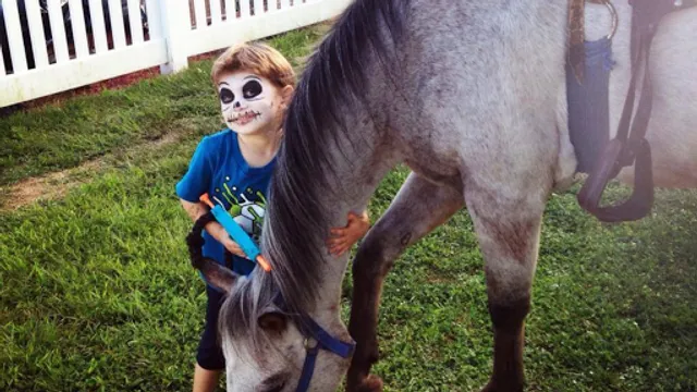 Ponytales Pony Parties and Petting Zoo