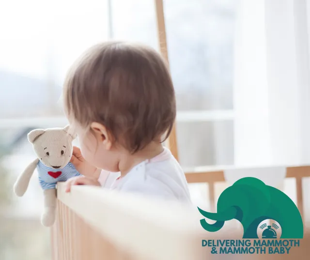 Mammoth Baby & Delivering Mammoth