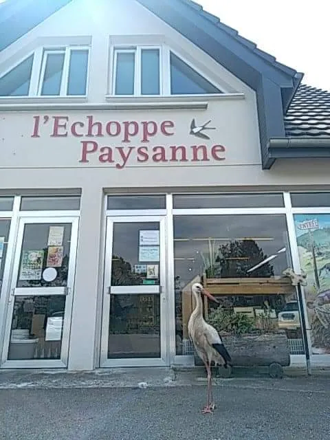 L'Echoppe Paysanne