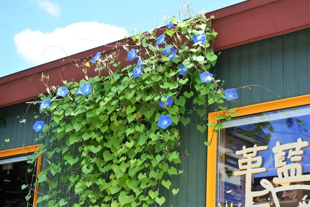 アトリエ カヌー(CANOE)