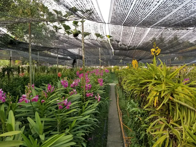 Bang Chueak Nang Subdistrict