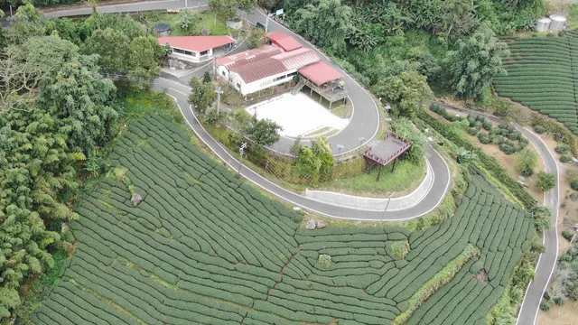 阿里山有機小農露營區