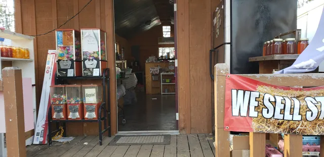 Sadie's Country Store