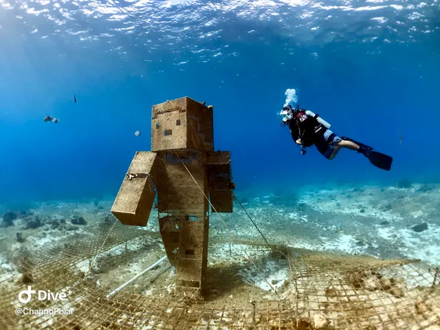 Snorkeling Cozumel Tour