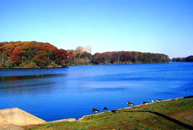 Weequahic Park