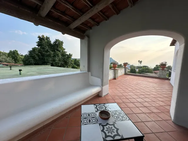 II Vitigno di Dioniso