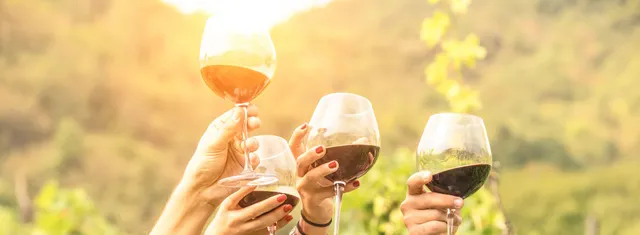 Rioja in Style - Rioja wine tours