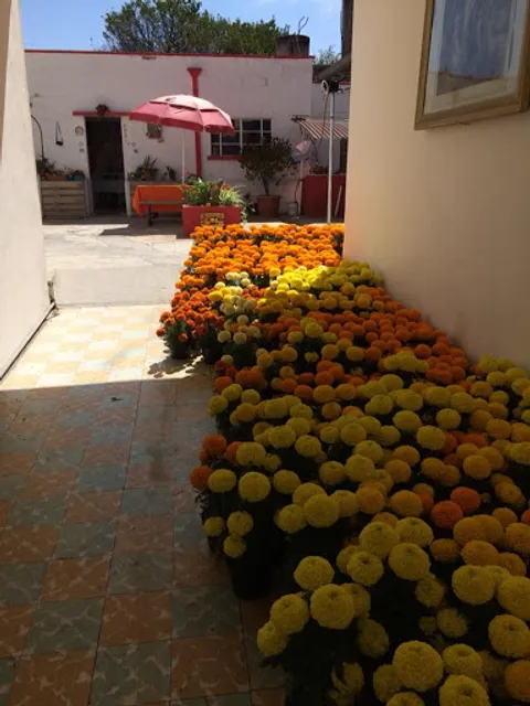 Cafetería y Heladería El Rinconcito