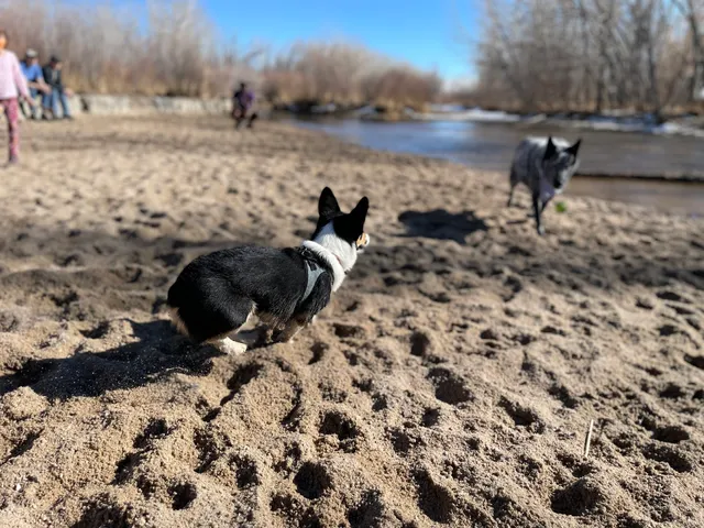 Dog Park Beach and Cherry Creek Access