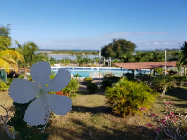 Hyeonlee Garden Hostel