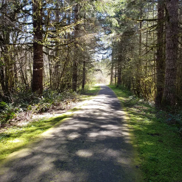 Beaver Creek Banks Vernonia Trailhead