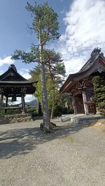 photo-2