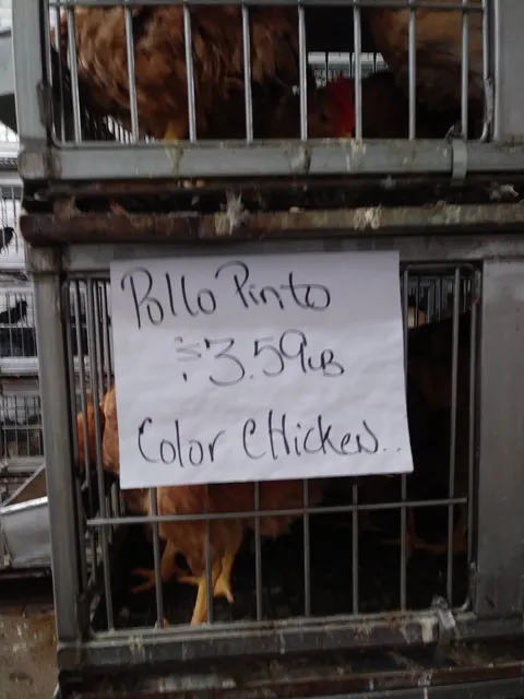 Jackson Avenue Live Poultry