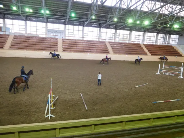 AMIGOHORSE, конноспортивный клуб