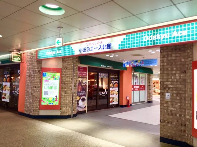 Odakyu Department Store SHINJUKU DELISH PARK (Odakyu Ace North)