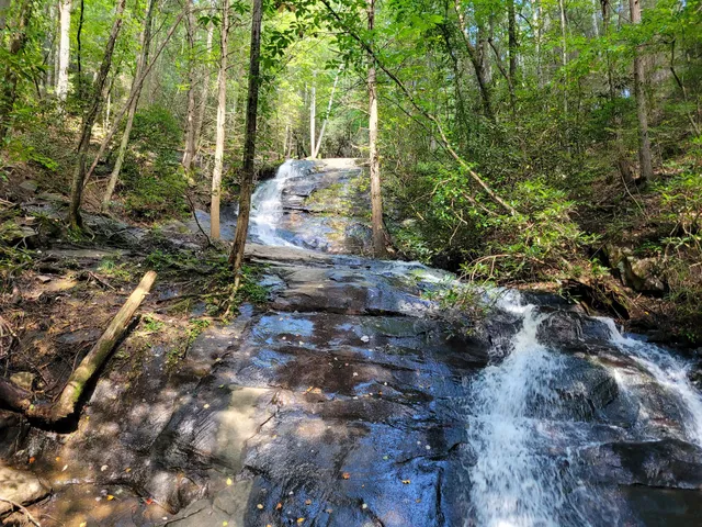 Fall Branch Falls Trailhead