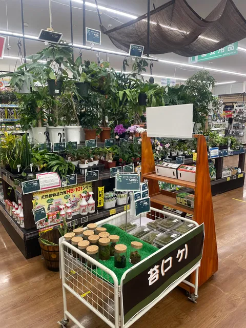 Konannishikujokasugadeten