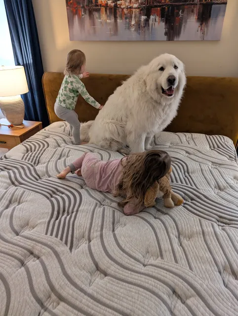 Ecin Bedding Factory