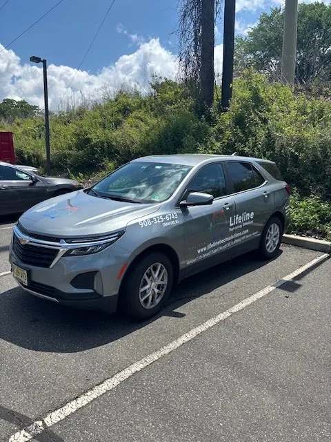 Lifeline Technology Solutions