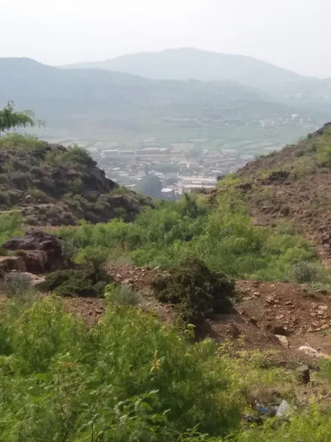 Punjab Tourest Hotel And Restourent