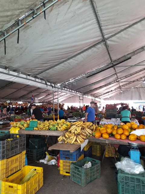 Feria del agricultor San Isidro